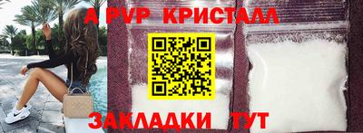 стафф Кингисепп