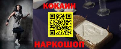 стафф Кингисепп