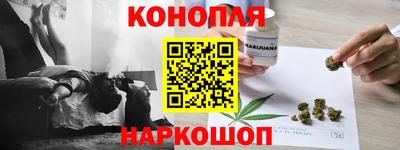 крисы Кинель