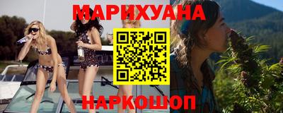 стафф Кингисепп