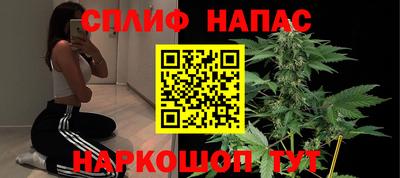 стафф Кингисепп