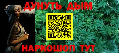 стафф Кингисепп