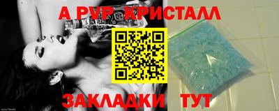 стафф Кингисепп