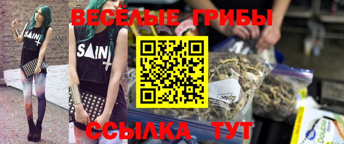 Псилоцибиновые грибы Magic Shrooms  Вход с VPN  Королёв  Псилоцибиновые грибы MAGIC MUSHROOMS 